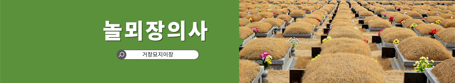 놀뫼장의사 PC 비주얼 0